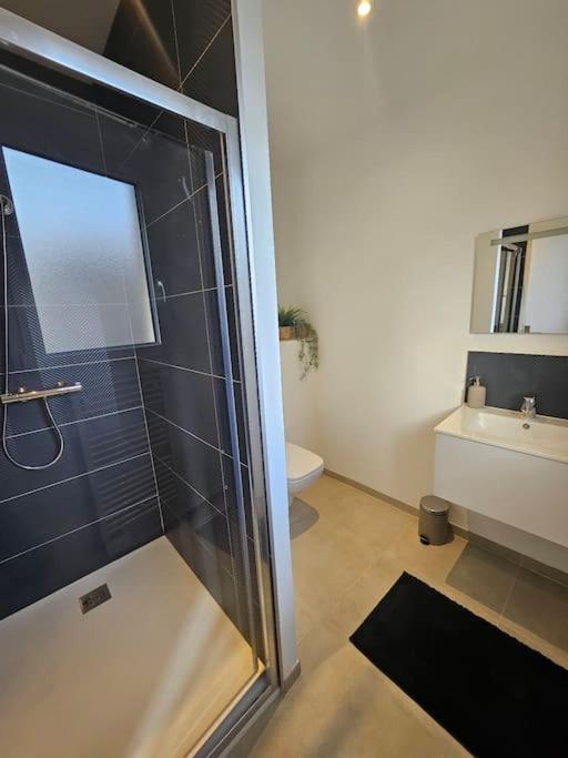 T 2 Lumineux Drome Des Collines Apartment Chateauneuf-de-Galaure Exterior photo